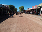 The Reel Cowboys at Tombstone Heldorado Days on October 19-20th, 2019