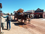 The Reel Cowboys at Tombstone Heldorado Days on October 19-20th, 2019